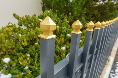 Close-up of cemetery
