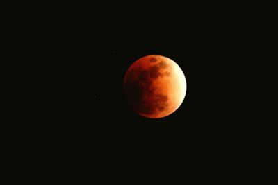 View of moon at night