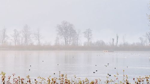 Scenic view of lake against sky during winter