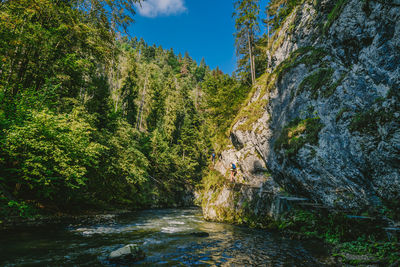 River by mountains and trees