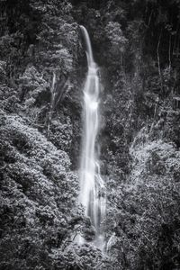 Scenic view of waterfall