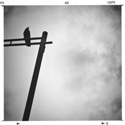 Low angle view of street light against sky