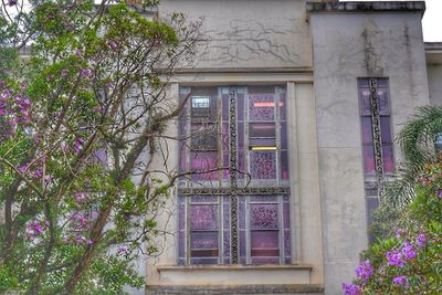 View of plants and trees