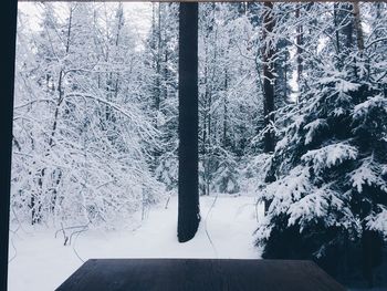 Low angle view of tree against sky
