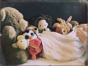 Close-up of animal eggs