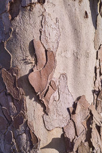 Full frame shot of rock