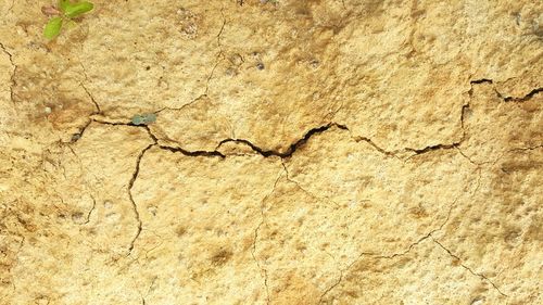 Close-up of cracked wall