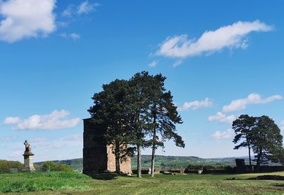 Trees on field against sky