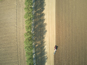 High angle view of man walking on field