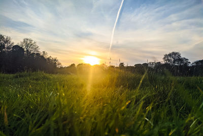 Scenic view of grassy field against sky during sunset