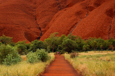 Footpath amidst trees on landscape