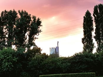 Low angle view of trees against cloudy sky