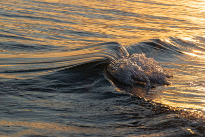 Close-up of water