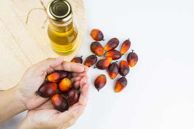 High angle view of person holding berries over white background