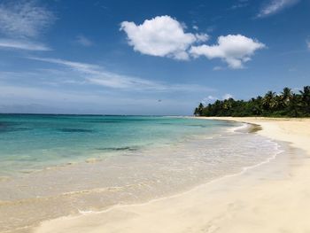 Scenic view of beach against sky