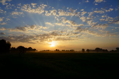 Silhouette trees on field against sky during sunset