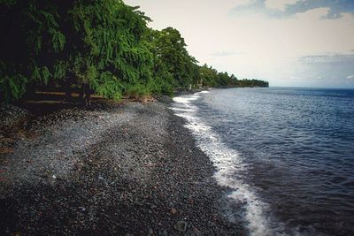 Scenic view of sea against sky