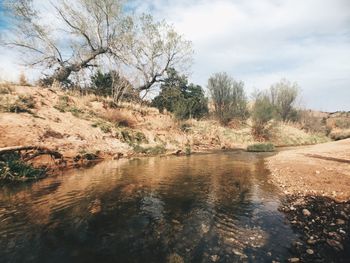 Scenic view of river against cloudy sky