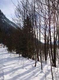 Scenic view of snow covered landscape