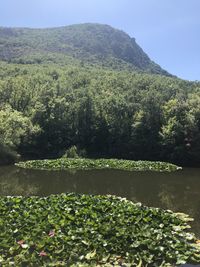Scenic view of lake against sky