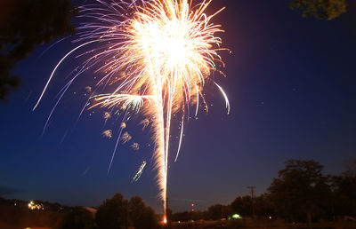 Low angle view of firework display at night