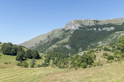 Scenic view of landscape against clear sky