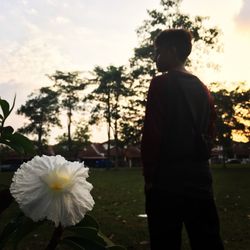 Close-up of woman holding flowers
