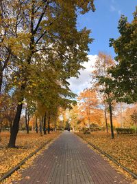 Footpath amidst trees against sky during autumn