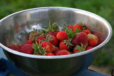 A lot of strawberries in a big bowl