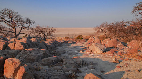 Scenic view of rocky shore against sky