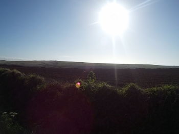 Scenic view of grassy field against sky