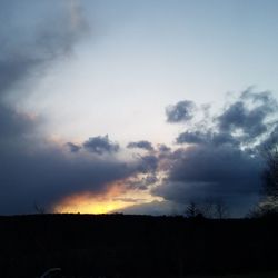 Low angle view of silhouette trees against sky during sunset