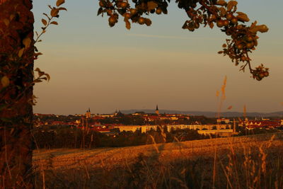 Scenic view of field against sky during sunset
