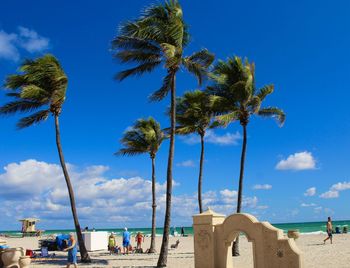 Palm trees on beach against blue sky