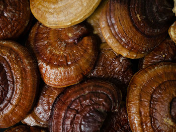 Full frame shot of onions