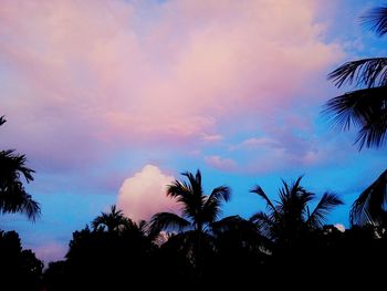 Low angle view of silhouette trees against sky