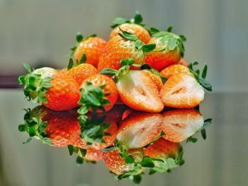 Close-up of fruit salad in plate