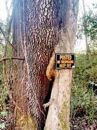 Close-up of road sign against tree trunk