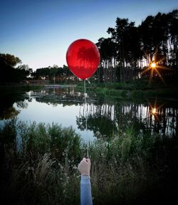 Reflection of trees in water