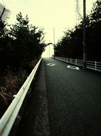 Road along trees