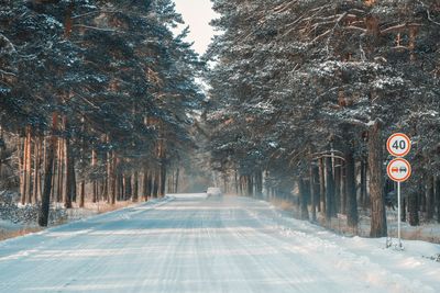 Road amidst snow covered trees