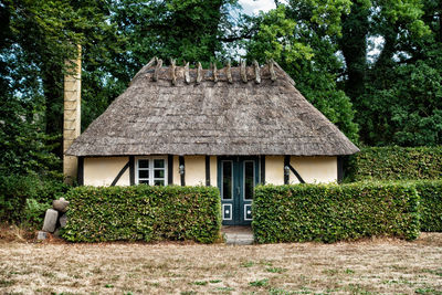 Historical danish house with thatched roof in a forest with deciduous trees