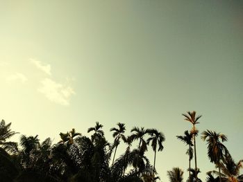 Low angle view of trees against sky