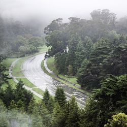 Aerial view of trees on landscape against sky