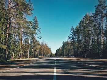 Empty road along trees in forest