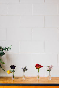 Red, purple, lilac, yellow floral blooms in tiny liquor bottles against white brick wall