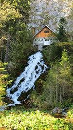 Scenic view of waterfall in forest