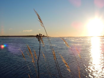 Scenic view of sunset over sea