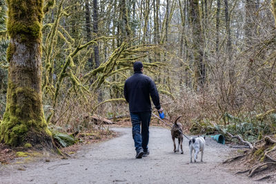 Rear view of man walking with dog in forest