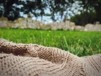 Close-up of relaxing on field